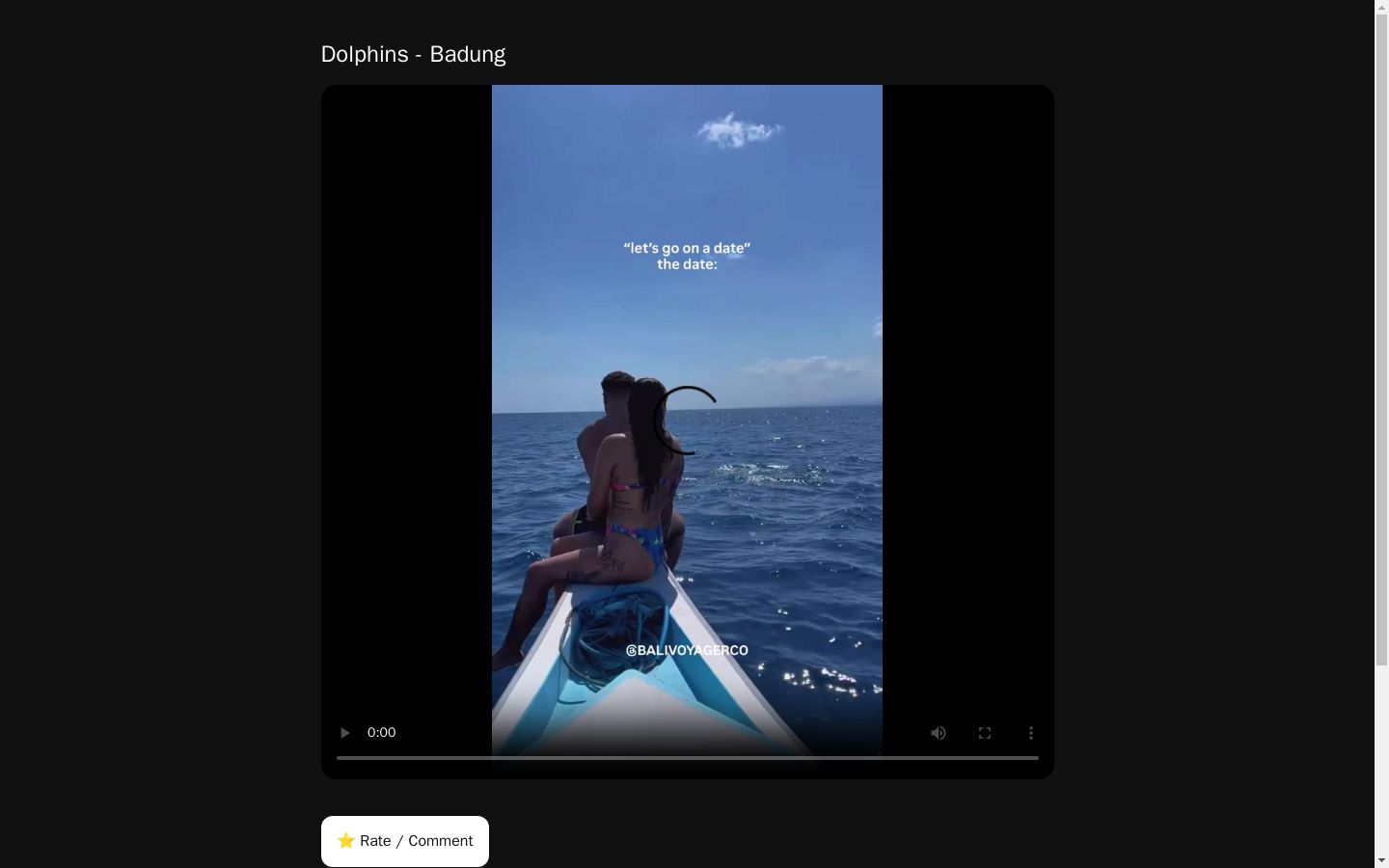 Dolphins - Badung
