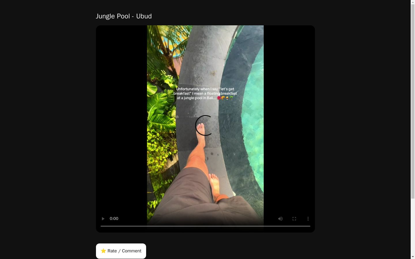 Jungle Pool - Ubud